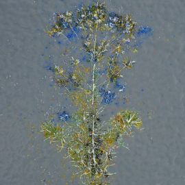 verredejeanette-bloemen-in-glas-gebrand-kopie.jpg