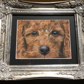 labradoodle.JPG