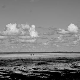 wadlopers.jpeg